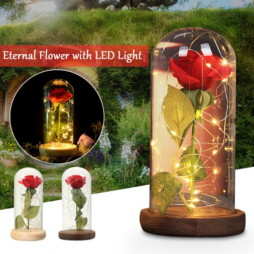Immagine di Red Rose Lights Decorations Beauty Enchanted Preserved Red Fresh Rose Glass Cover with LED Light
