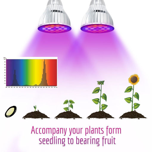 Immagine di 60W Dual Head Plants Led Grow Light Bulb Clip Desk Adjustable Growing Lamp For Garden Indoor Bonsai