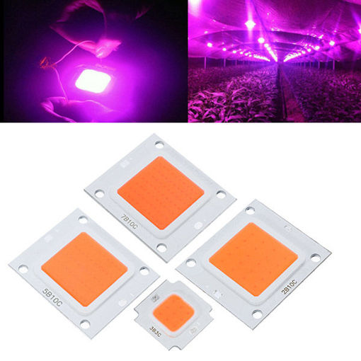 Immagine di 50W 70W 100W LED Cob Indoor Garden Plant Grow Light Chip DIY Full Spectrum Growth Lamp