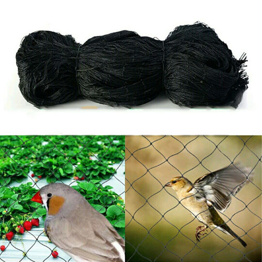 Immagine di 5M Wide Garden Anti Bird Net Netting Heavy Duty Net Strong Garden Plant Crops Fruit Mesh